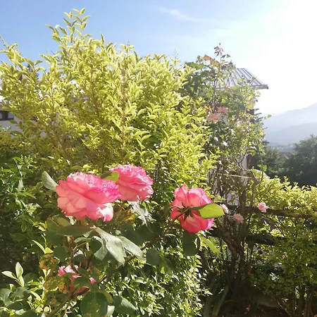 La Casetta Del Mirtillo Rosso *